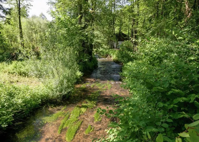 アパート Im 1 Stock Bei *